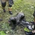 Собаку из колодца с мазутом спасли в Московском районе Петербурга