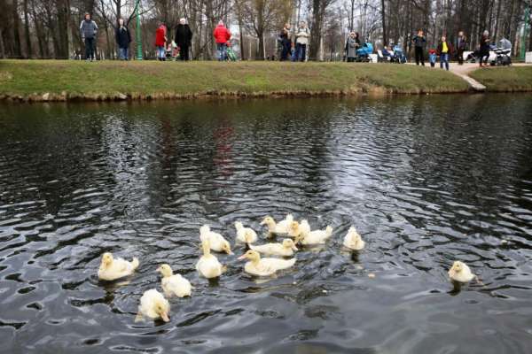 Таврический сад в Петербурге избавится от незаконных ларьков