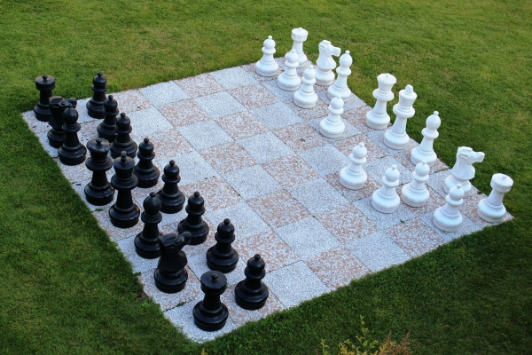 Турниры по ростовым шахматам пройдут в Петербурге 20 июля