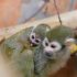 В зоопарке Петербурга подросло первое поколение обезьянок саймири - Новости Санкт-Петербурга
