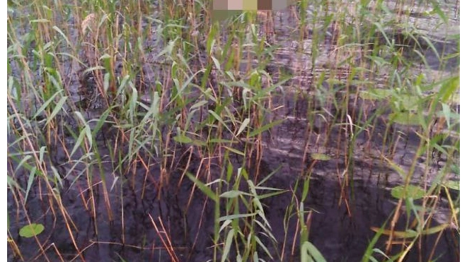 Из озера Вуокса достали тело мужчины, утонувшего 2 июля