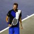 Теннисист Медведев не видит Джоковича в числе фаворитов US Open