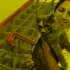 В Агалатово спасли кошку, упавшую в шахту