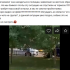 На Сизова живодерка убила собаку инвалида об изгородь детской площадки - Новости Санкт-Петербурга