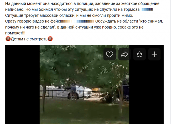 На Сизова живодерка убила собаку инвалида об изгородь детской площадки
