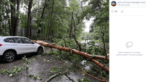 «В городе настал апокалипсис»: сильный ураган сносит деревья в Петербурге - Новости Санкт-Петербурга1