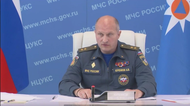 Глава МЧС заявил, что торфяной пожар во Владимирской области пытались скрыть0