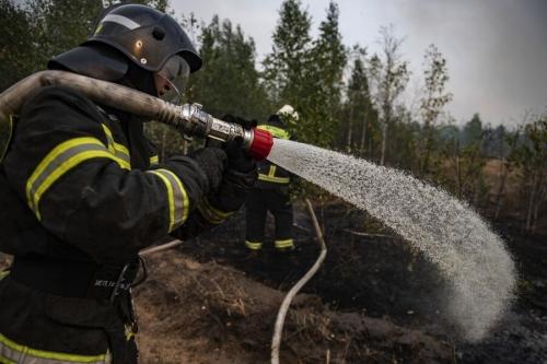 Минприроды: пожарных выводят из Рязанской области в связи со стабилизацией обстановки 
