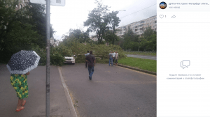 «В городе настал апокалипсис»: сильный ураган сносит деревья в Петербурге - Новости Санкт-Петербурга3