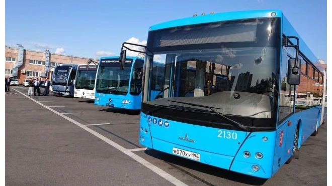 Ещё 216 автобусов поступят в Петербург до конца 2022 года
