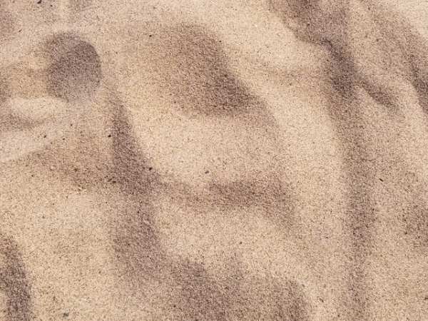 Двухгодовалого мальчика засыпало песком на карьере под Гатчиной