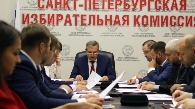 На муниципальные довыборы выделят более 80 млн рублей