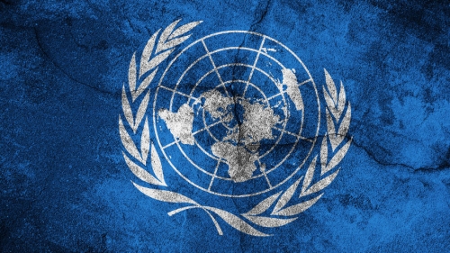 Россия направила генсеку ООН данные о применении ВСУ запрещенных мин «Лепесток» 