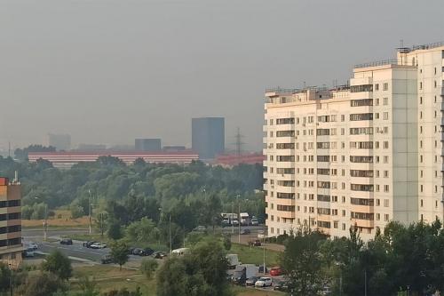 Синоптик предупредил москвичей о максимальной концентрации смога из-за пожаров в Рязани 