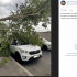 «В городе настал апокалипсис»: сильный ураган сносит деревья в Петербурге - Новости Санкт-Петербурга