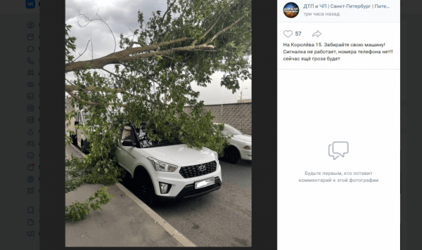 &#171;В городе настал апокалипсис&#187;: сильный ураган сносит деревья в Петербурге