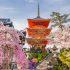 В Японии для туристов могут отменить три значительных ограничения на посещение страны