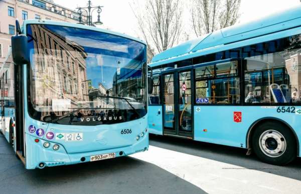 Петербуржцам напомнили, как изменился общественный транспорт к новому учебному году