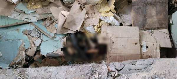 В заброшенном здании рядом с Петербургским шоссе нашли истлевшие человеческие останки