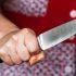 Мужчина получил нож в живот от сожительницы в садоводстве под Тосно - Новости Санкт-Петербурга
