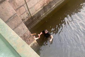 Росгвардейцы спасли мужчину, спрыгнувшего в канал Грибоедова - Новости Санкт-Петербурга1