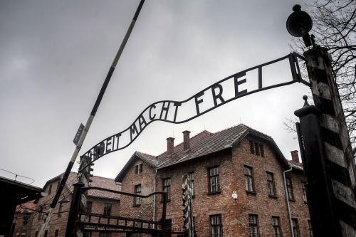 Ученые выяснили, какое вещество нацисты могли подмешивать в еду узниц лагерей смерти 