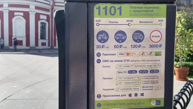 "Эсеры" петербургского парламента предложили перенести расширение зоны платной парковки