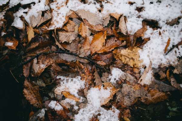 Специалист рассказал, что петербуржцы могут увидеть первый снег уже в начале ноября