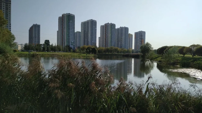 У границ Петербурга построят еще 25 млн кв. метров жилья к 2030 году