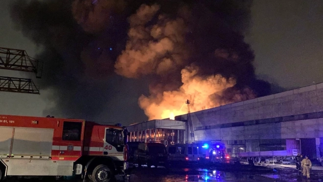 Прокуратура заинтересовалась пожаром склада в Металлострое