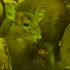 У саблезубых оленей родился малыш Эрнест в Ленинградском зоопарке