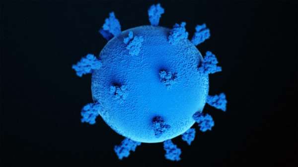 Вирусологи РАН предупредили о продолжении мутации коронавируса