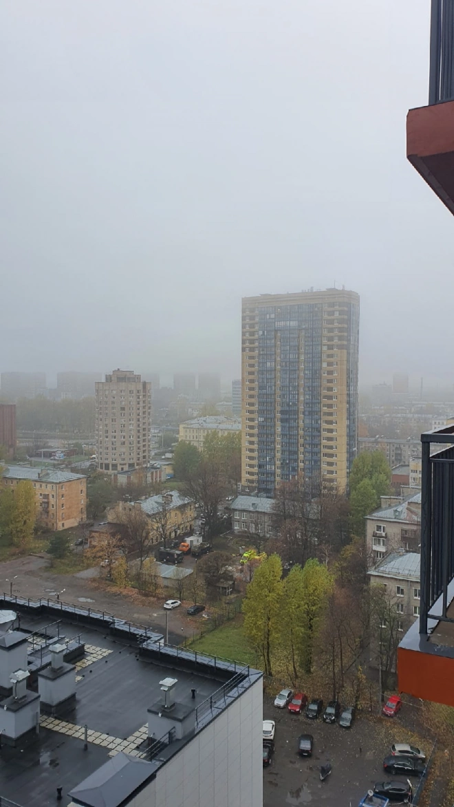 Туман в Петербурге 27 октября: горожане делятся фото