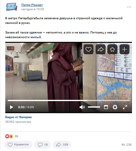 Стало известно, кто ходил в мантии по петербургскому метро