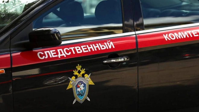 СК: петербурженка и двое детей отравились угарным газом