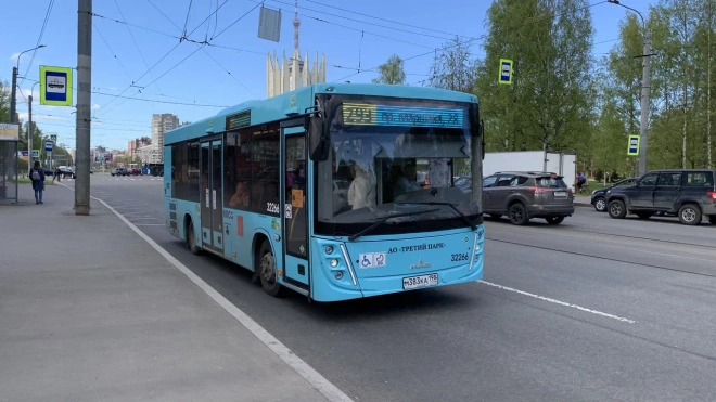 В Петербурге четыре автобуса 11 ноября изменят маршрут 