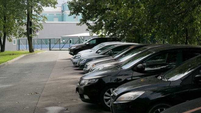 Жители Адмиралтейского района попросили отложить введение платной парковки