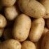 Минсельхоз: цены на картофель необходимо удержать - Новости Санкт-Петербурга