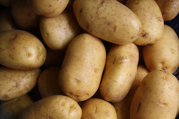 Минсельхоз: цены на картофель необходимо удержать