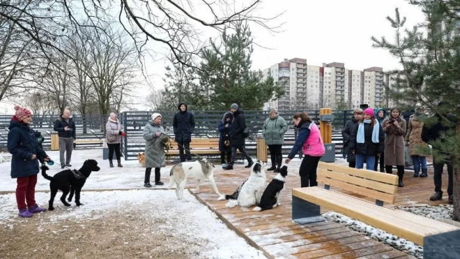 Площадку для выгула собак открыли на Карпатской улице в Петербурге