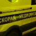 Иномарка сбила 16-летнего подростка на Пулковском шоссе