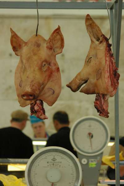 Диетолог оценила идею продажи искусственного мяса