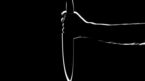 Зверски убившая ножом инвалида петербурженка отправится в колонию на семь лет