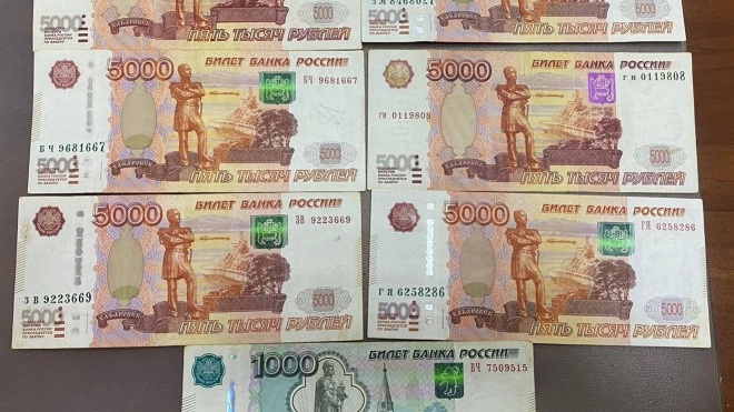 Петербурженка забыла сумку с деньгами в поезде "Сочи – Санкт-Петербург"