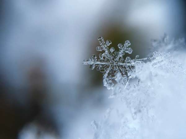 МЧС предупредило петербуржцев о снегопадах 5 декабря