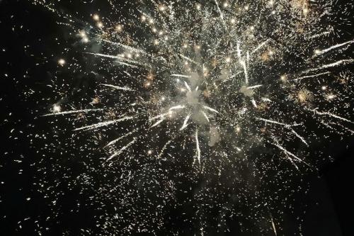В Кабардино-Балкарии отменили массовые новогодние мероприятия и фейерверки 