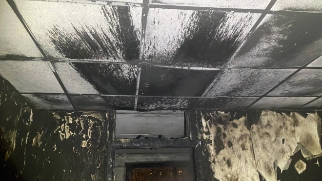 СК РФ: во время пожара в квартире на улице 800-летия Москвы погиб мальчик0
