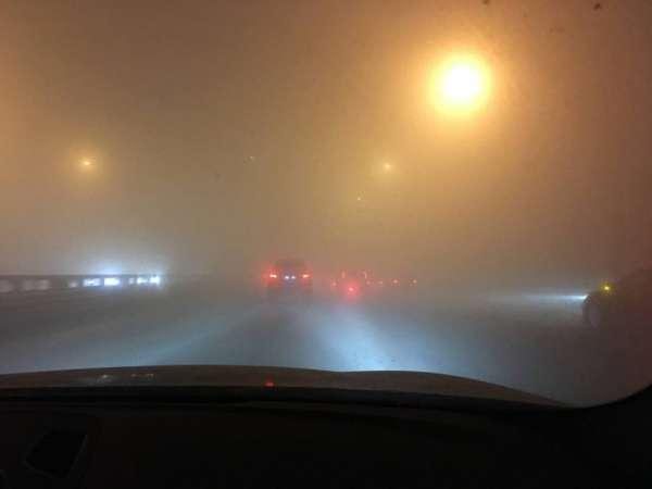 Петербуржское МЧС предупредило о тумане с видимостью до 500 метров