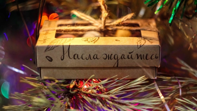 Дети из Енакиево получат от Ленобласти 12 тыс. сладких подарков