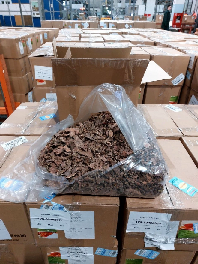 В Пулково пресекли вывоз в ОАЭ трех тонн краснокнижного растения на 10 млн рублей